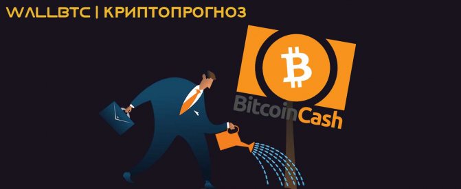 Bitcoin Cash как инвестиция