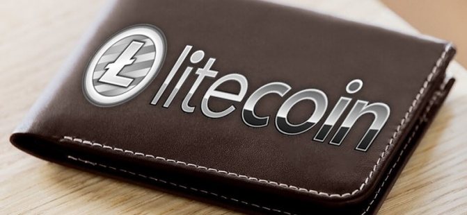 Как выбрать, создать и настроить кошелёк Litecoin