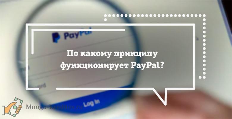 По какому принципу функционирует PayPal?