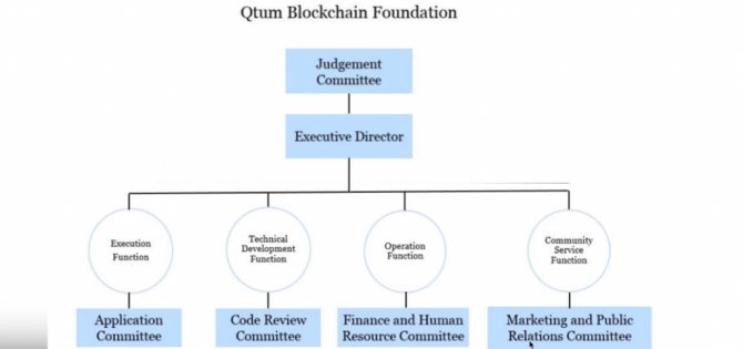 Структура управления проектом Qtum.